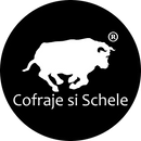 Accesorii Cofraje Schele