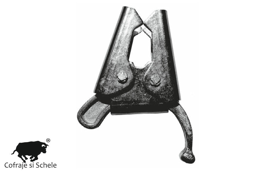 Cleste rapid cofraje Paschal Logo